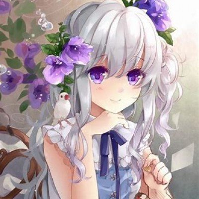习近平会见中国国民党主席郑丽文